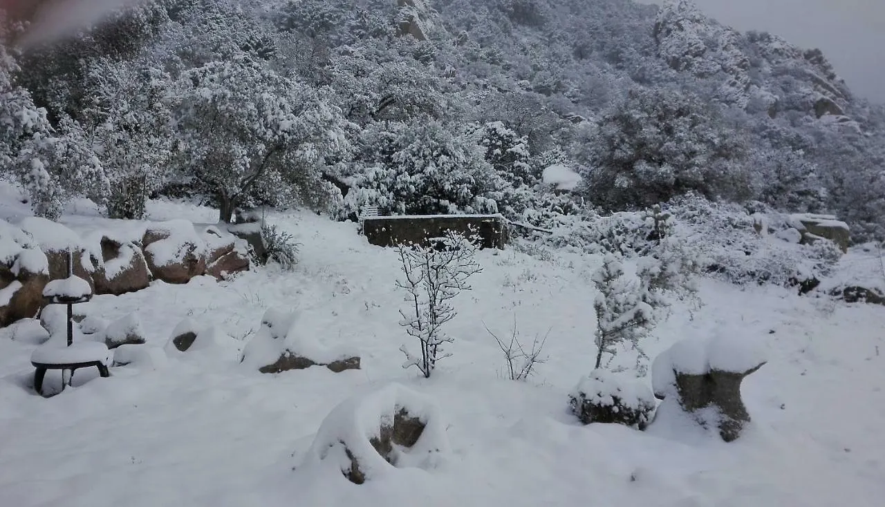 Casa di campagna Agriturismo Monte Pino Telti