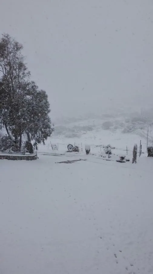 Agriturismo Monte Pino Telti