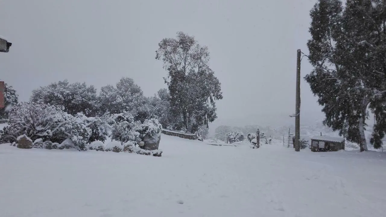 Agriturismo Monte Pino Telti Italia